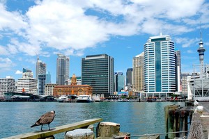 Mietwagen Auckland
