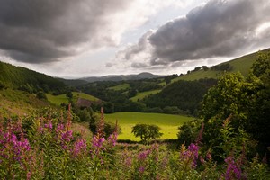 Mietwagen Carmarthen
