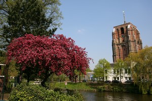 Mietwagen Leeuwarden